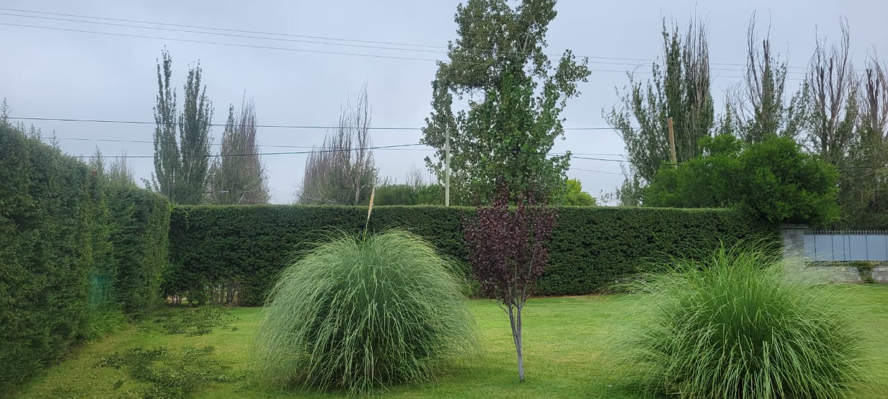 Trabajo de jardinería - Jardinería F.P
